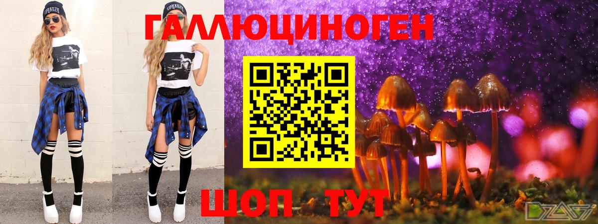 Псилоцибиновые грибы MAGIC MUSHROOMS  Вход с VPN  Обнинск  Псилоцибиновые грибы Cubensis 